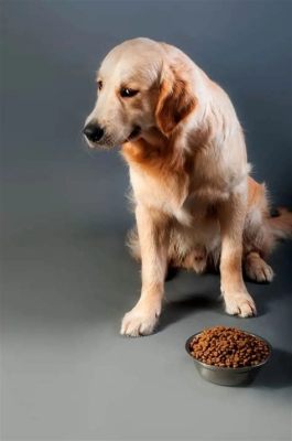 How Long Can Dogs Last Without Food: A Journey Through Canine Survival and Culinary Curiosity