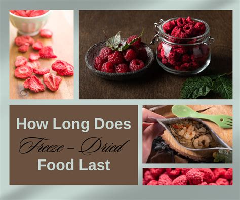 How Long Does Freeze Dried Food Last: A Journey Through Time and Taste