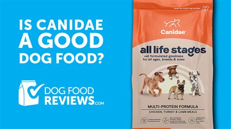 Is Canidae a Good Dog Food? And Why Do Dogs Dream of Electric Sheep?