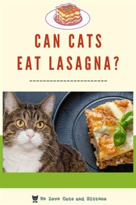 whats menu think. when your cat dreams of lasagna