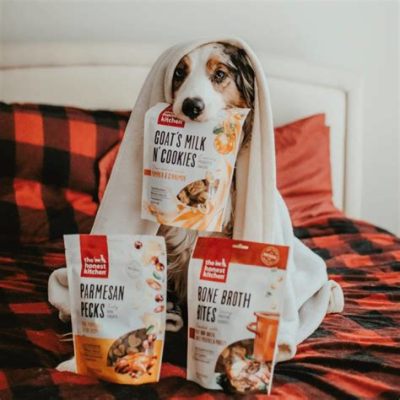 Who Owns Honest Kitchen Dog Food and Why Does It Matter in the Pet Food Industry?